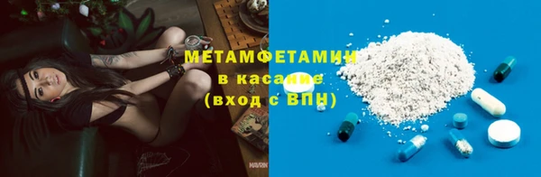 прущие грибы Волосово