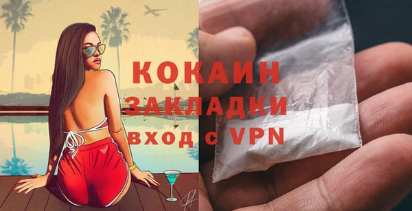 прущие грибы Волосово