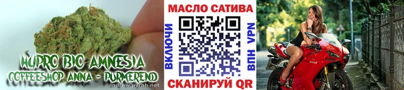 где купить наркоту  Жиздра  ТГК вейп с тгк 