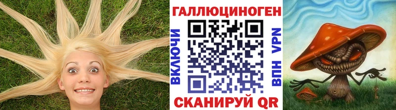 кракен ссылки  Жиздра  Псилоцибиновые грибы Magic Shrooms 